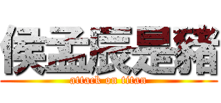 侯孟辰是豬 (attack on titan)