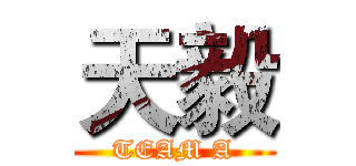 天毅 (TEAM A)