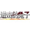 进击的兔子 (jinjidetuzi)