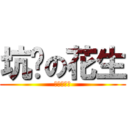 坑爹の花生 (超级大坑爹)