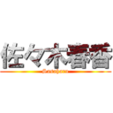 佐々木春香 (Sasaharu)