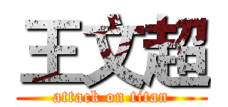 王文超 (attack on titan)