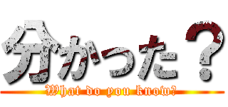 分かった？ (What do you know?)