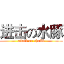 进击の水豚 (attack on shuibi)