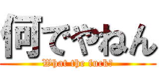 何でやねん (What the fuck?)