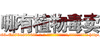 哪有植物毒卖 (哪有植物毒卖【电-186x2687x6963-Q278180069元-吉-药-业】我们做的是长期生意,靠的是老客户长期支持 http://sngk.net/PXgw5t
)