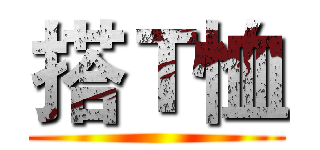 搭Ｔ恤 ()