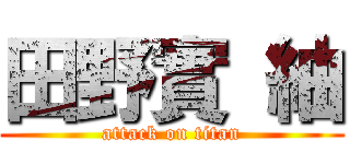 田野實 紬 (attack on titan)