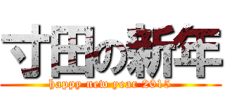 寸田の新年 (happy new year 2015)