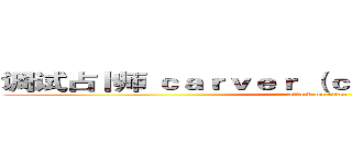 调试占卜师 ｃａｒｖｅｒ （ｃａｒｖｅｒ） 正在施法  (attack on titan)