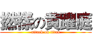 撚樣の黄躍庭 (attack on titan)