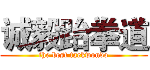 诚毅跆拳道 (the best taekwondo)