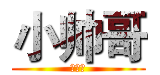 小帅哥 (小帅哥)