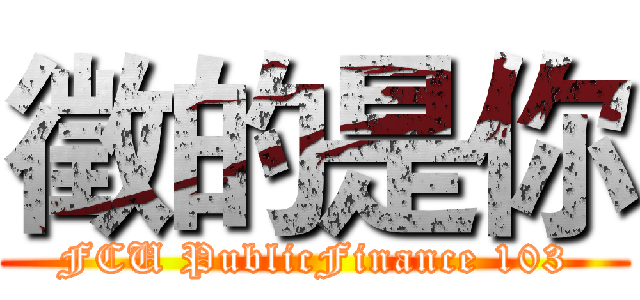 徵的是你 (FCU PublicFinance 103)