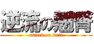 逆流の翹臀 (attack on butt)