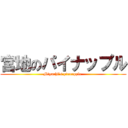 宮地のパイナップル (Miyachi\'s pineapple )