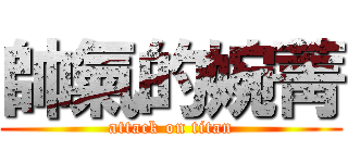 帥氣的婉菁 (attack on titan)