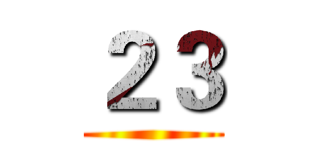２３ ()