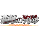 進撃の狗珍 (attack on Dog Zhen)