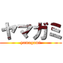 ヤマガミ (yamagami)