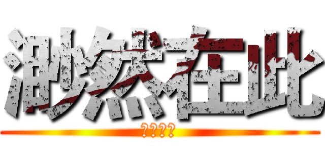 渺然在此 (快来膜拜)