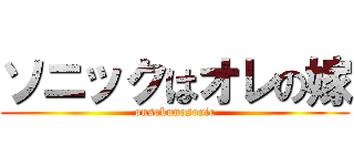 ソニックはオレの嫁 (onsokunosonic)