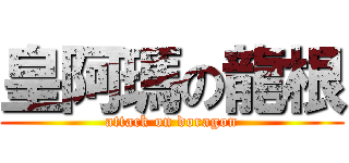 皇阿瑪の龍根 (attack on doragon)