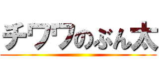 チワワのぶん太 ()