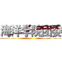 海洋学院团委 ()