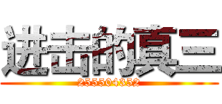 进击的真三 (255504352)