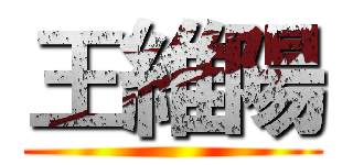 王維陽 ()