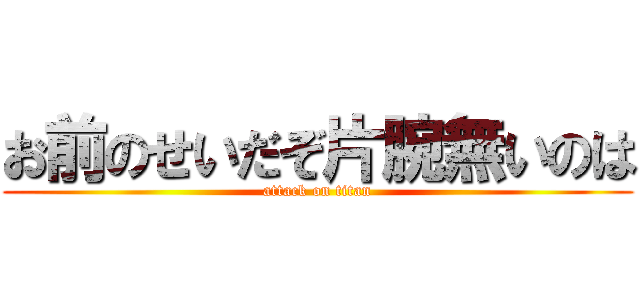 お前のせいだぞ片腕無いのは (attack on titan)