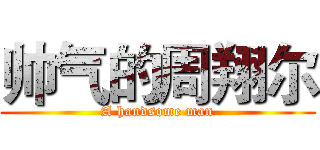 帅气的周翔尔 (A handsome man)