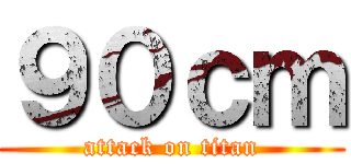 ９０ｃｍ (attack on titan)