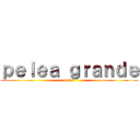 ｐｅｌｅａ ｇｒａｎｄｅ (pelea)