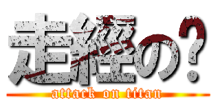 走經の婷 (attack on titan)