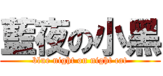 藍夜の小黑 (blue night on night cat)