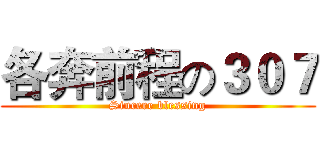 各奔前程の３０７ (Sincere blessing)