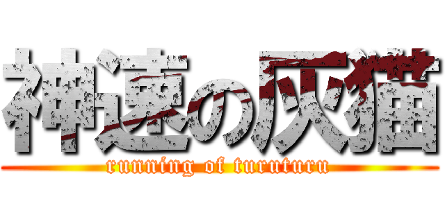 神速の灰猫 (running of turuturu)