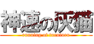 神速の灰猫 (running of turuturu)