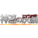 神速の灰猫 (running of turuturu)