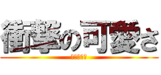 衝撃の可愛さ (たいちゃん)