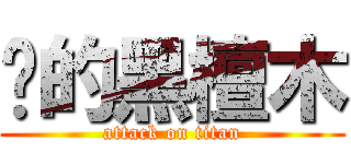 进的黑檀木 (attack on titan)
