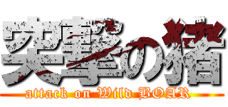 突撃の猪 (attack on Wild BOAR )