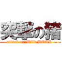 突撃の猪 (attack on Wild BOAR )