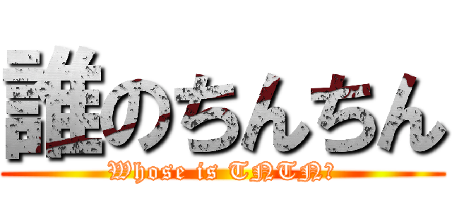誰のちんちん (Whose is TNTN?)