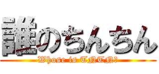 誰のちんちん (Whose is TNTN?)