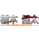 橋本 健太 (KENTA HASHIMOTO)