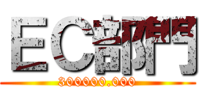 ＥＣ部門 (300000.000)
