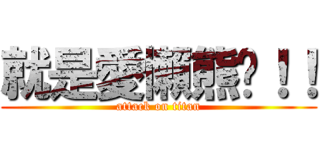 就是愛懶熊啦！！ (attack on titan)